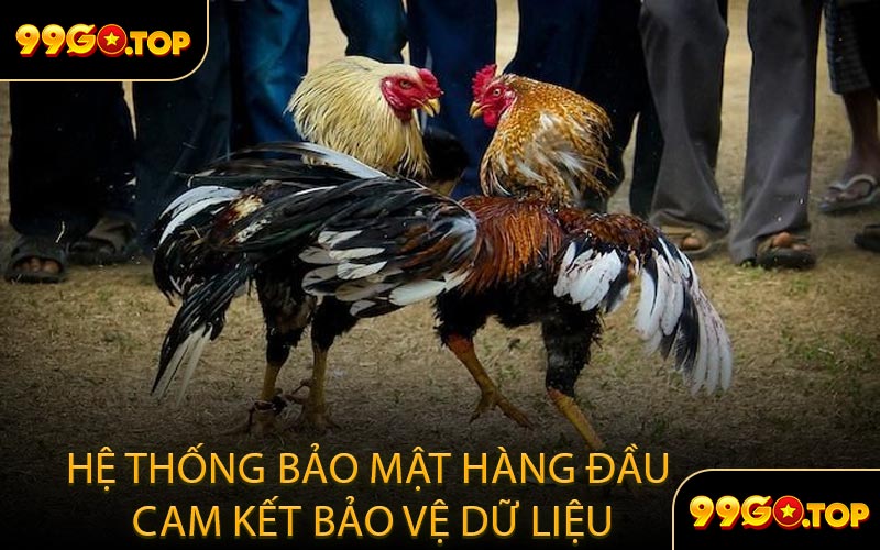 Hệ thống bảo mật hàng đầu cam kết bảo vệ dữ liệu