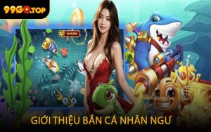 Giới Thiệu Bắn Cá Nhân Ngư