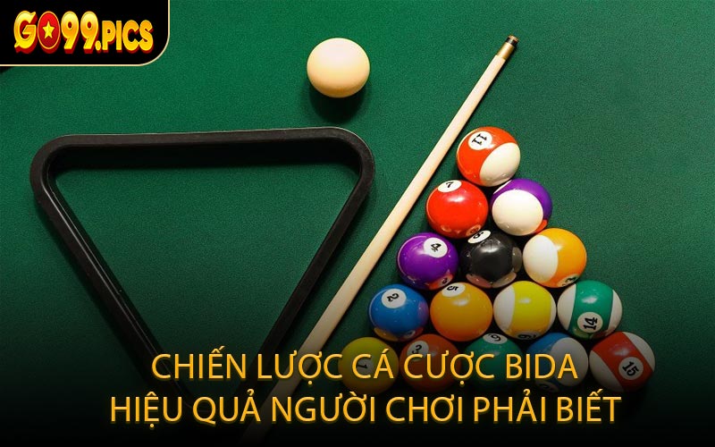 Chiến Lược Cá Cược Bida Hiệu Quả Người Chơi Phải Biết